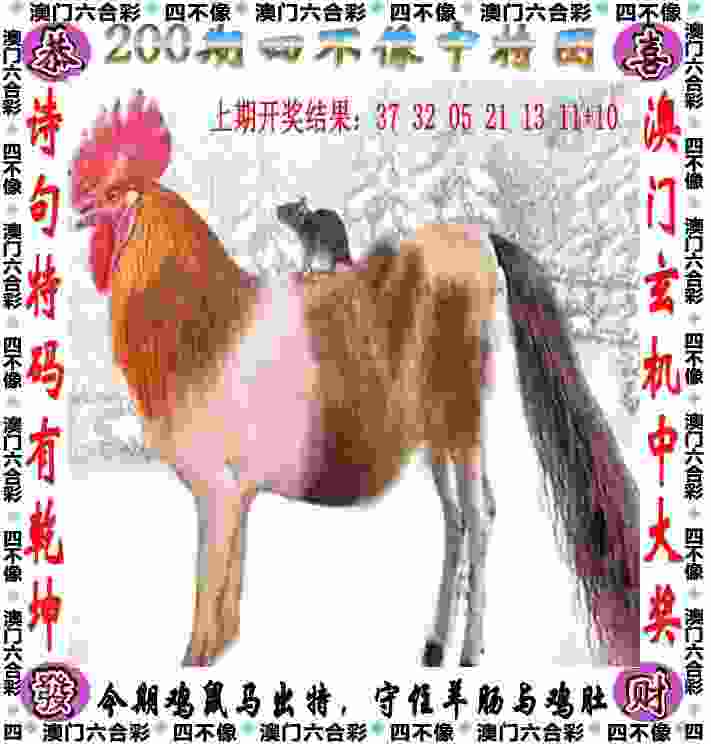 女子四人皮艇留遗憾，青岛姑娘殷梦蝶搭档队友获第五名